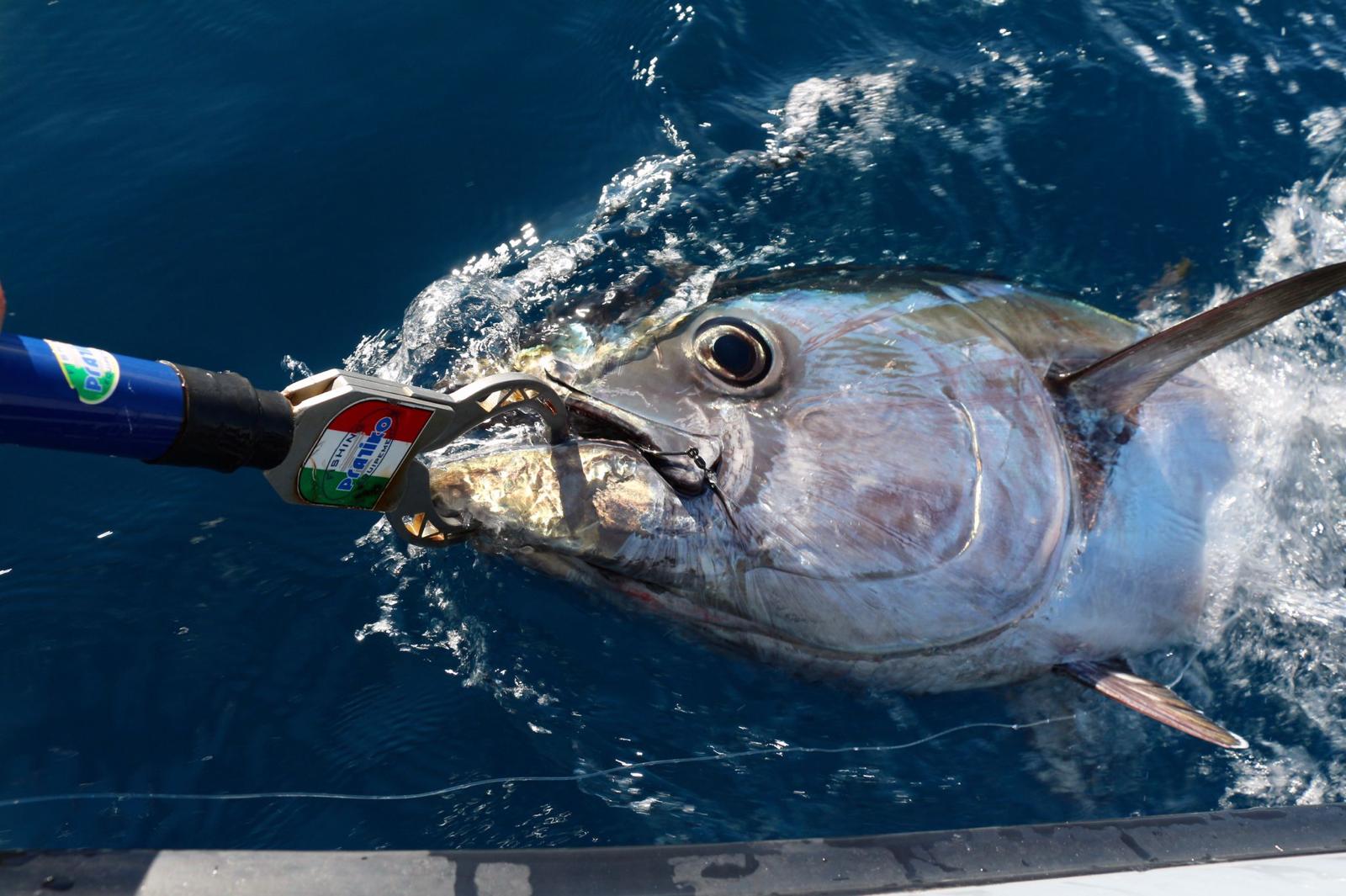 Sortie pêche en mer 3