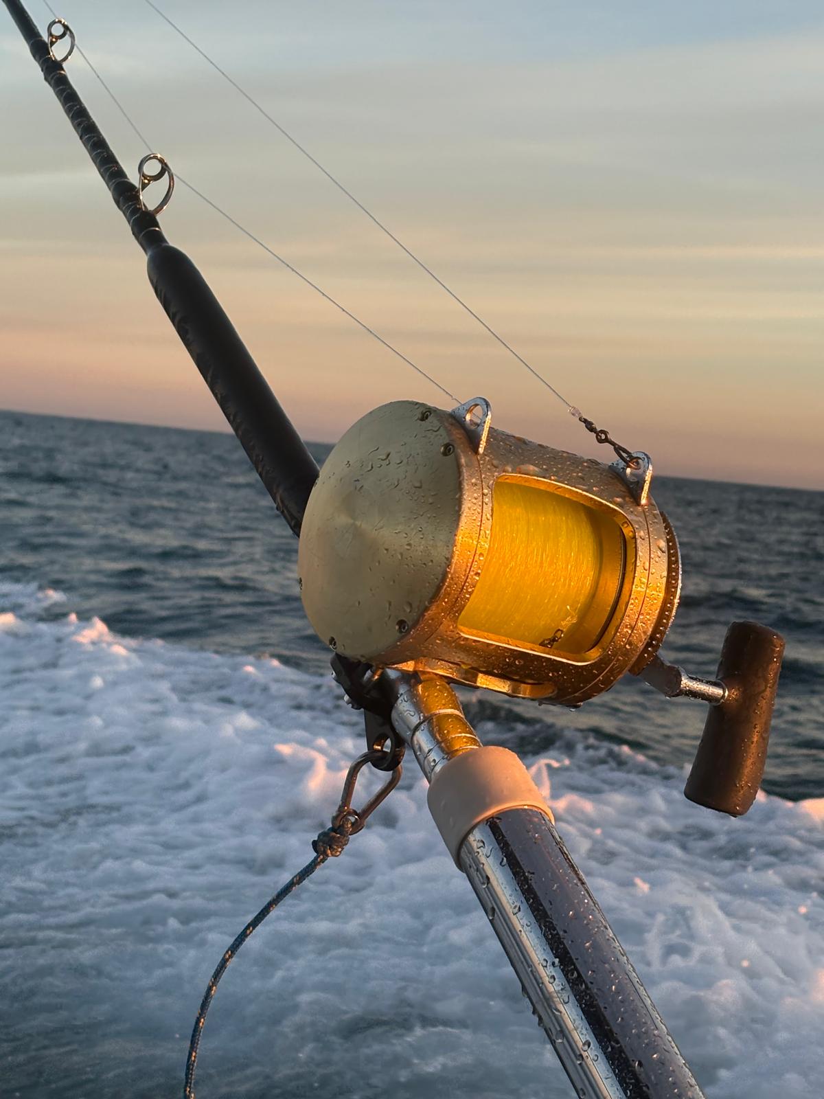 Sortie pêche en mer 11